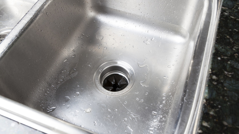 Sink with garbage disposal