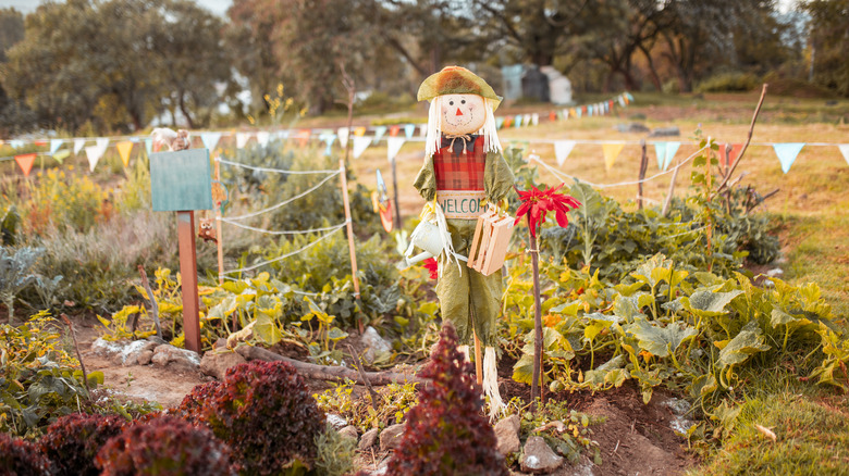 Scarecrow in a garden