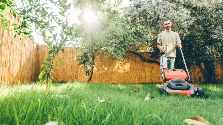 Person push mowing long grass in a fenced yard