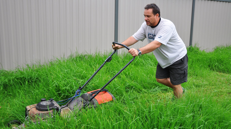 A person struggling to push mow grass in an overgrown lawn