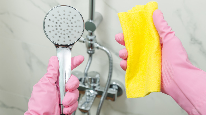 person holding shower head and cloth