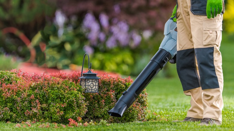 person with a leaf blower 