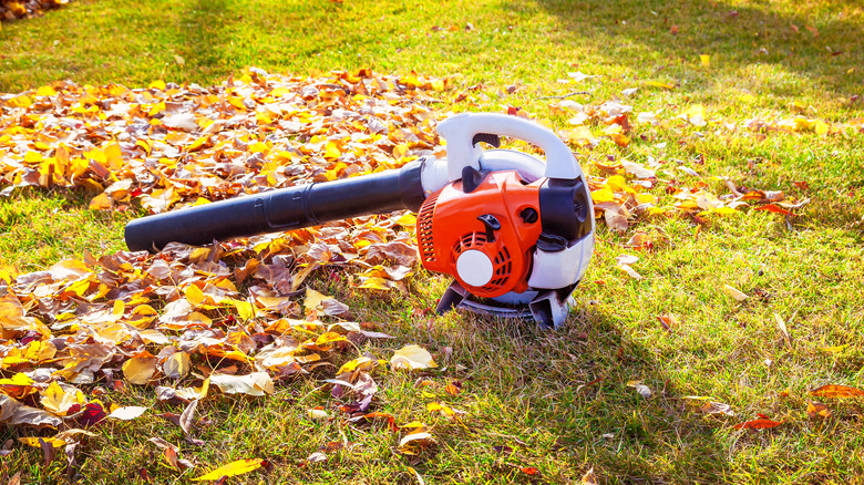 leaf blower resting on lawn