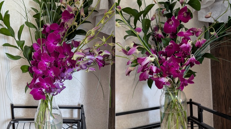 Split view of orchids in a vase at different times.