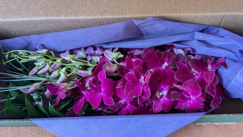 An open box is full of beautiful purple orchids.