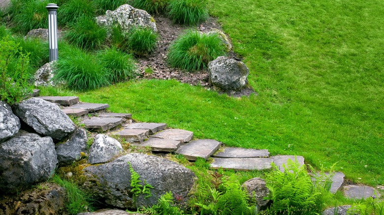 Sloped garden with rocks