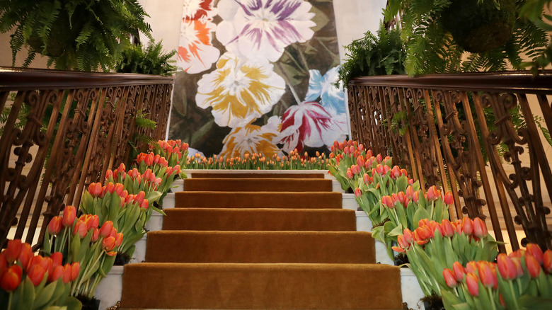 Tulips along the staircase