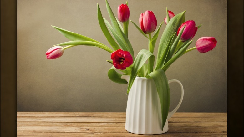 Tulips in white pitcher