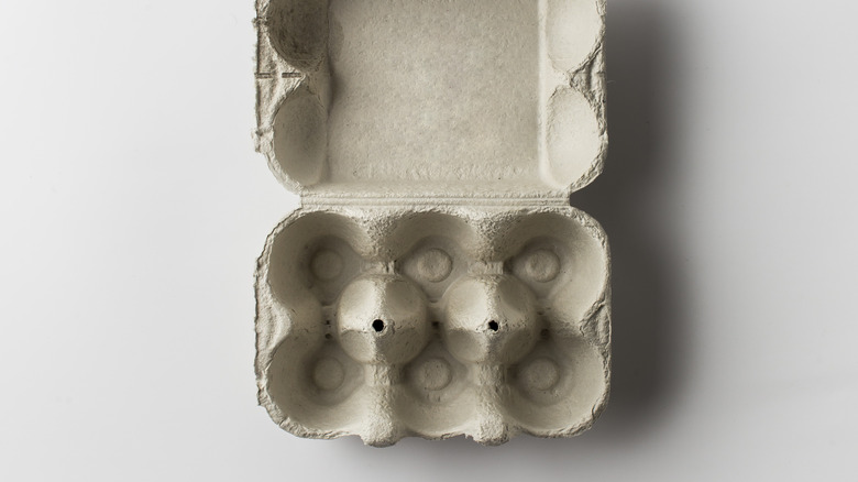 empty egg carton