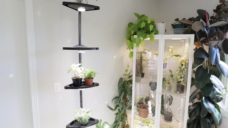 shower caddy plant tower