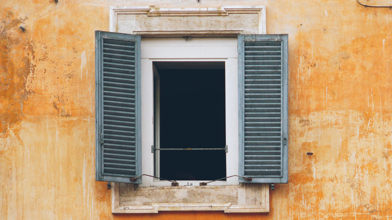 person painting blue shutters with paint brush