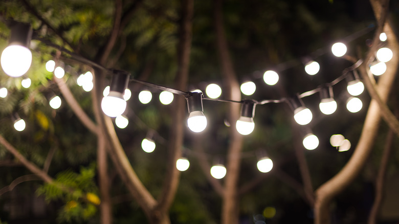 String lights at night