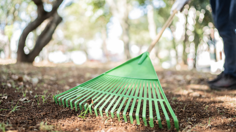 Person raking with green plastic rake