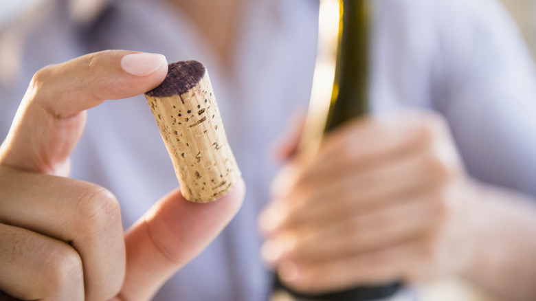 Person holding wine cork between fingers