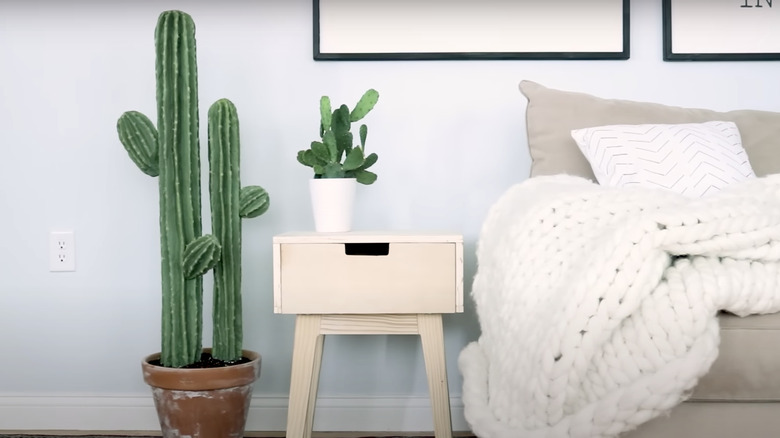 DIY cactus plant in room