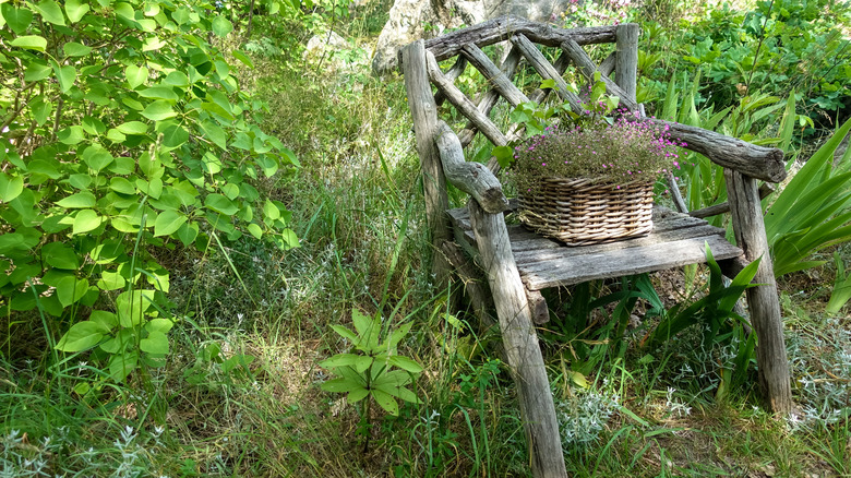 Weathered wooden chair in rustic garden