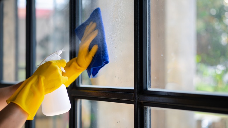 hands cleaning window