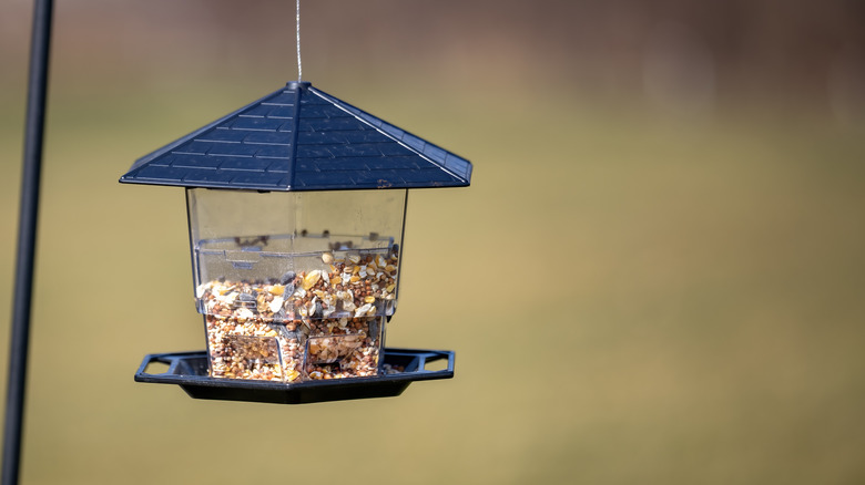 empty bird feeder