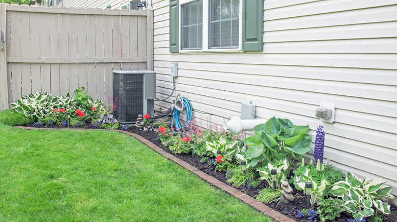 A flower bed is edged with a single layer of bricks.