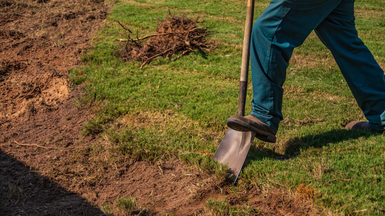 A gardener digs a border at the edge of a lawn.