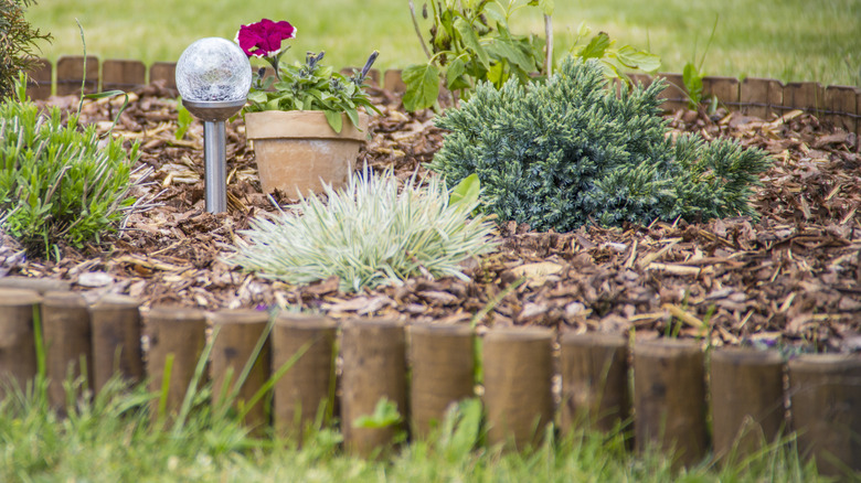 A short, wood fence surrounds a flower bed.