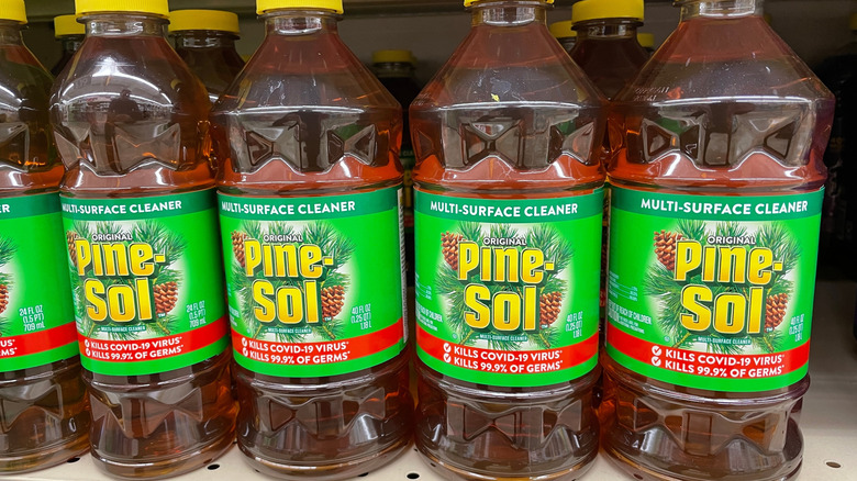 Pine-Sol sitting on a shelf at a store