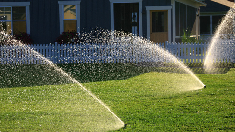 lawn being irrigated by sprinklers