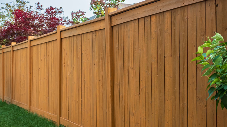 Tall solid timber fence with lush green grass in front