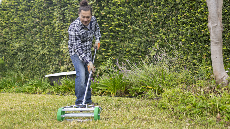 gardener using aerator