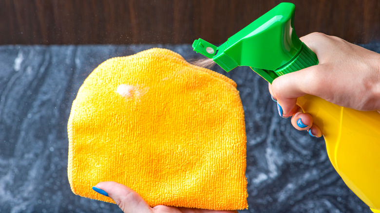 Person spraying cleaner onto soft cloth