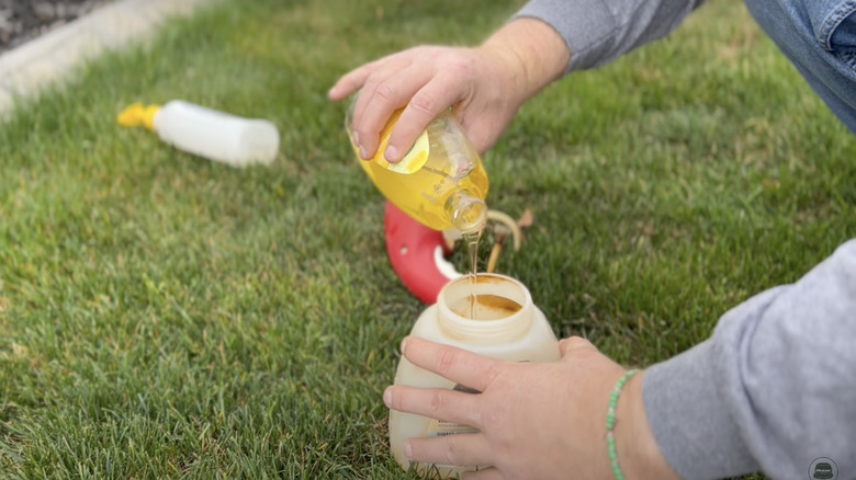 man using baby shampoo on lawn