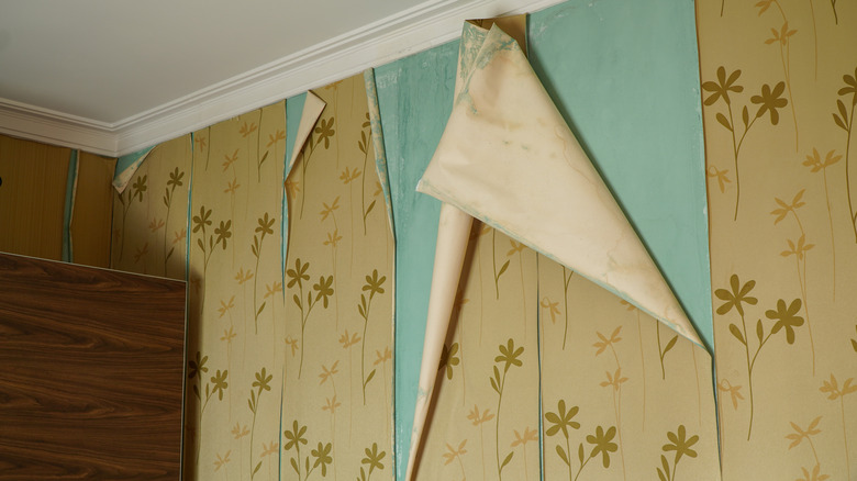 Brown floral wallpaper peeling off a blue wall