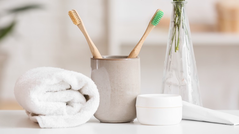 modern ceramic toothbrush holder in bathrom