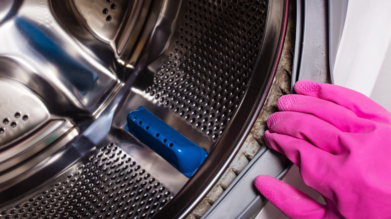 person looking at washing machine gasket