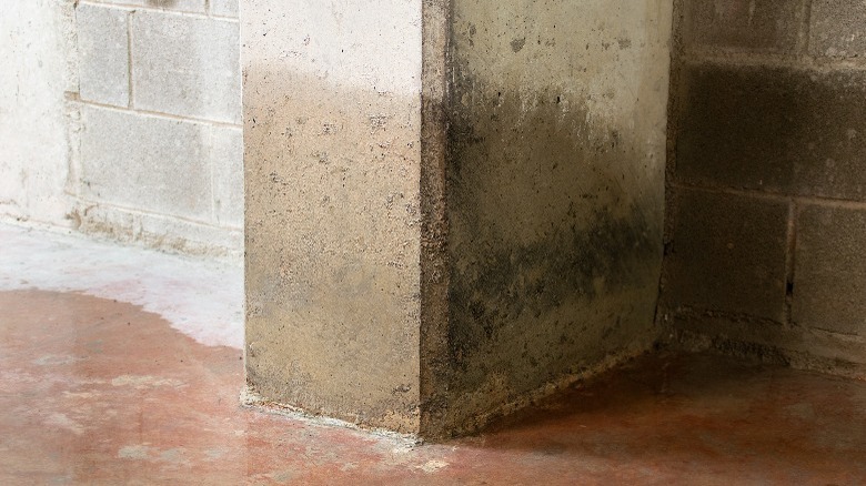 Wet concrete in basement