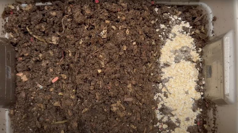 rolled oats sprinkled in compost heap