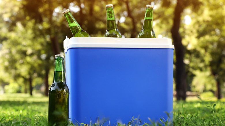 Ice box with beer bottles