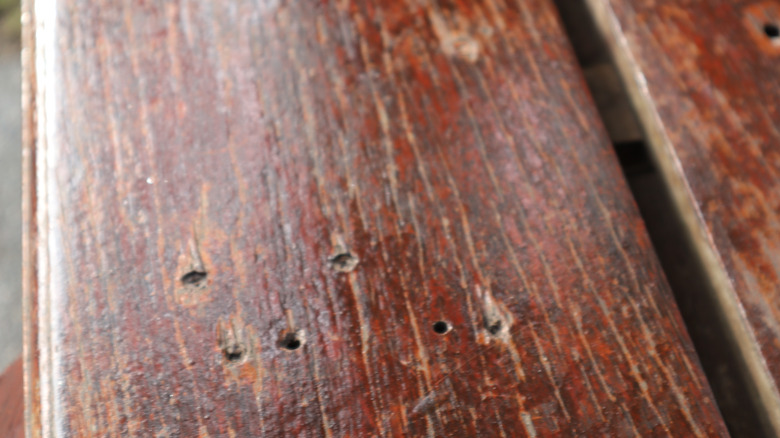 Nail holes in wood surface