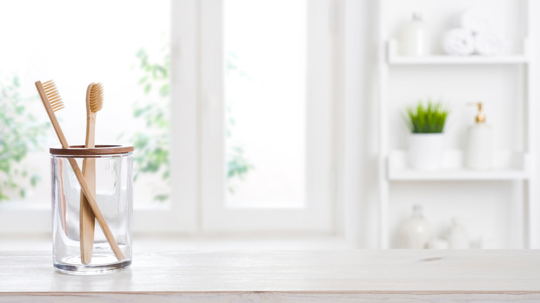 toothbrushes in holder