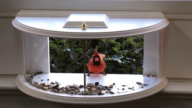 interior window bird feeder