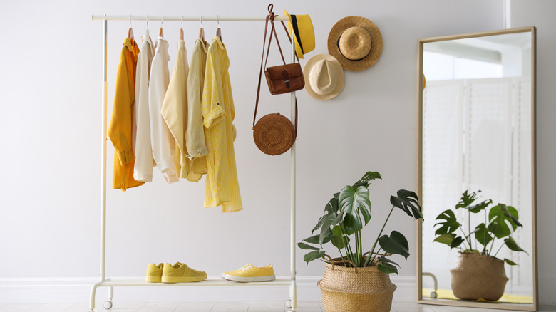 Large mirror with plant 