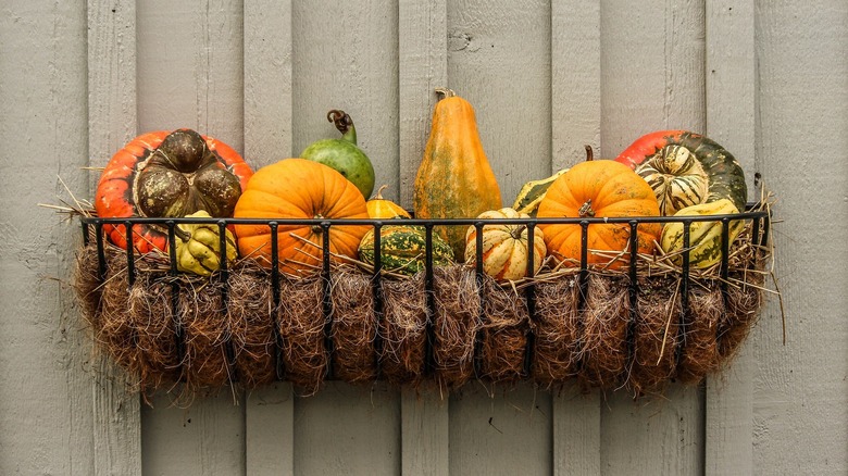 hanging planter with pumpkins