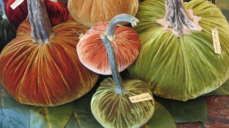 pumpkin-shaped velvet pillows