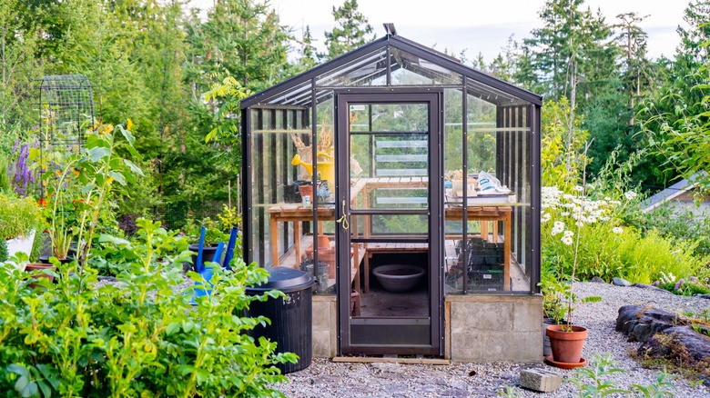 greenhouse in a garden