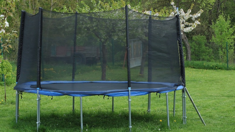 trampoline on a lawn