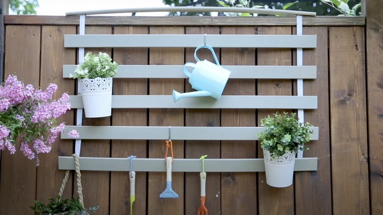 Vertical garden hanging on a wall