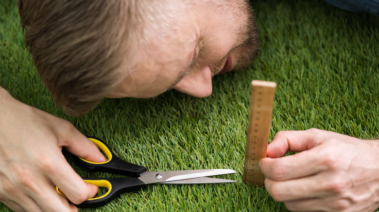 Measuring grass with ruler