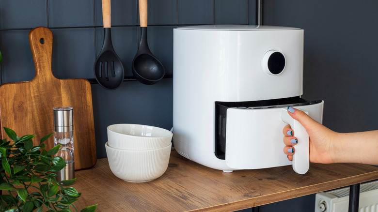 Person using an air fryer