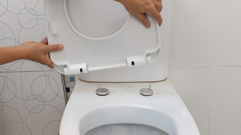 toilet seat being removed