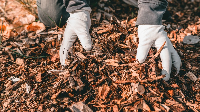 Hands in mulch